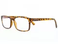 Gafas para ordenador con motivo de tortuga BLF73A