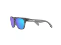 Oakley Frogskins Xxs Gafas de Sol OJ 9009 02