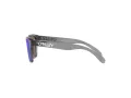 Oakley Frogskins Xxs Gafas de Sol OJ 9009 02