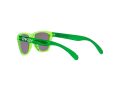 Oakley Frogskins Xxs Gafas de Sol OJ 9009 05