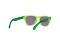 Oakley Frogskins Xxs Gafas de Sol OJ 9009 05