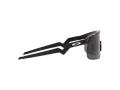 Oakley Resistor Gafas de Sol OJ 9010 01_123