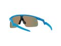 Oakley Resistor Gafas de Sol OJ 9010 05_123