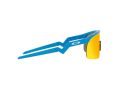 Oakley Resistor Gafas de Sol OJ 9010 05_123