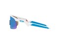 Oakley Resistor Gafas de Sol OJ 9010 07