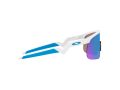 Oakley Resistor Gafas de Sol OJ 9010 07