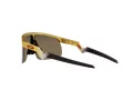 Oakley Resistor Gafas de Sol OJ 9010 08_123