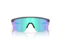 Oakley Resistor Gafas de Sol OJ 9010 16