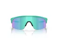 Oakley Resistor Gafas de Sol OJ 9010 19