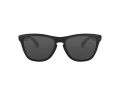 Oakley Frogskins Gafas de Sol OO 9013 24-306