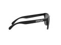 Oakley Frogskins Gafas de Sol OO 9013 24-306