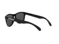 Oakley Frogskins Gafas de Sol OO 9013 C4