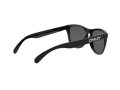 Oakley Frogskins Gafas de Sol OO 9013 C4