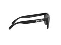 Oakley Frogskins Gafas de Sol OO 9013 C4