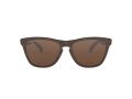 Oakley Frogskins Gafas de Sol OO 9013 C5