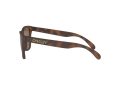 Oakley Frogskins Gafas de Sol OO 9013 C5