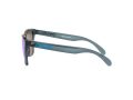 Oakley Frogskins Gafas de Sol OO 9013 F6