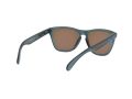 Oakley Frogskins Gafas de Sol OO 9013 F6