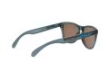 Oakley Frogskins Gafas de Sol OO 9013 F6