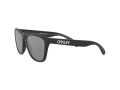 Oakley Frogskins Gafas de Sol OO 9013 F7