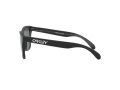 Oakley Frogskins Gafas de Sol OO 9013 F7