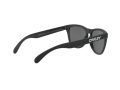 Oakley Frogskins Gafas de Sol OO 9013 F7