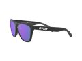 Oakley Frogskins Gafas de Sol OO 9013 H6