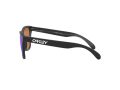 Oakley Frogskins Gafas de Sol OO 9013 H6
