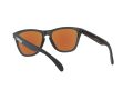 Oakley Frogskins Gafas de Sol OO 9013 H6