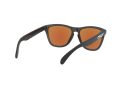Oakley Frogskins Gafas de Sol OO 9013 H6