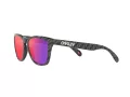 Oakley Frogskins Gafas de Sol OO 9013 J2