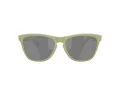 Oakley Frogskins Gafas de Sol OO 9013 M2