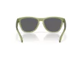 Oakley Frogskins Gafas de Sol OO 9013 M2