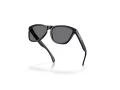 Oakley Frogskins Gafas de Sol OO 9013 M7