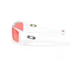 Oakley Gascan Gafas de Sol OO 9014 C9
