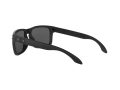 Oakley Holbrook Gafas de Sol 9102 D6