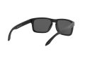 Oakley Holbrook Gafas de Sol 9102 D6