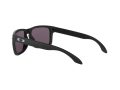 Oakley Holbrook Gafas de Sol OO 9102 E8