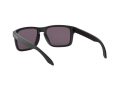 Oakley Holbrook Gafas de Sol OO 9102 E8