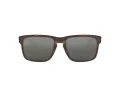 Oakley Holbrook Gafas de Sol OO 9102 F4