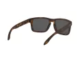 Oakley Holbrook Gafas de Sol OO 9102 F4