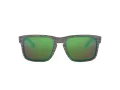Oakley Holbrook Gafas de Sol OO 9102 J8