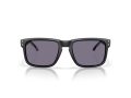 Oakley Holbrook Gafas de Sol OO 9102 Z3