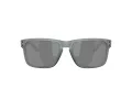 Oakley Holbrook Gafas de Sol OO 9102 Z4