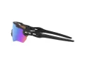 Oakley Radar Ev Path Gafas de Sol OO 9208 C0_138