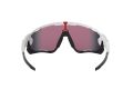 Oakley Jawbreaker Gafas de Sol OO 9290 05_131