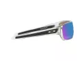 Oakley Turbine Rotor Gafas de Sol OO 9307 29