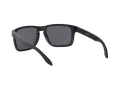 Oakley Holbrook Xl Gafas de Sol OO 9417 05