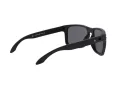 Oakley Holbrook Xl Gafas de Sol OO 9417 05