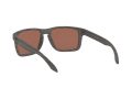 Oakley Holbrook Xl Gafas de Sol OO 9417 19
